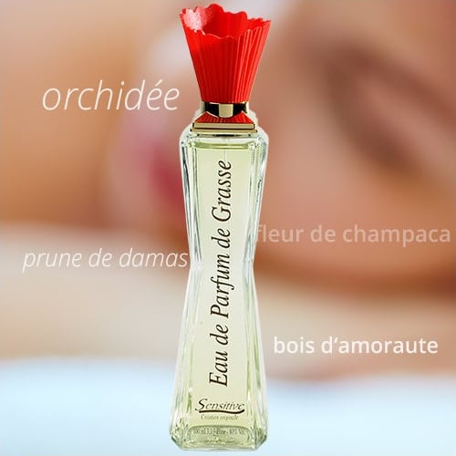 illustration pour le produit Lili : Chypre Fruité